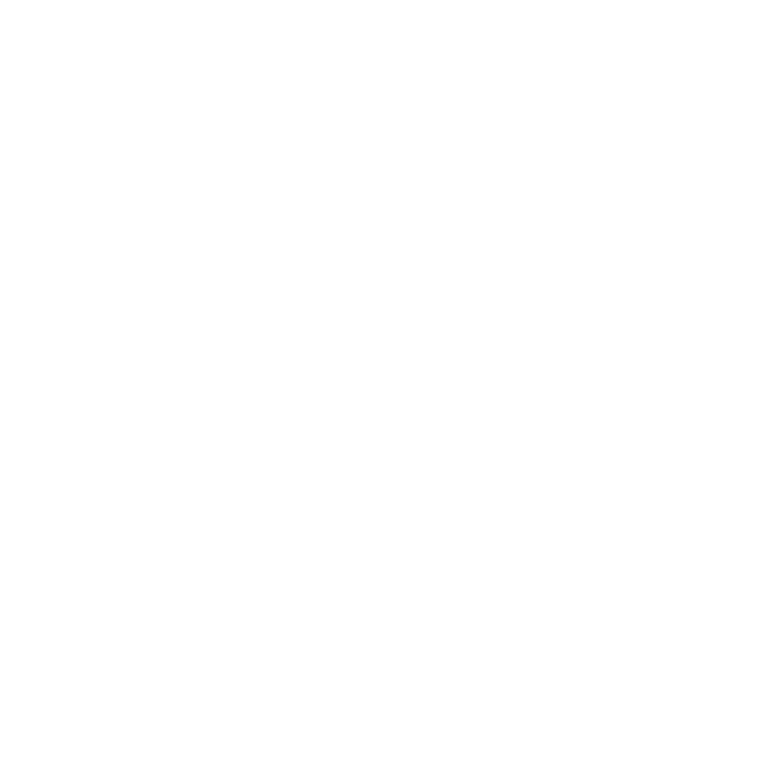 F&L Solutions